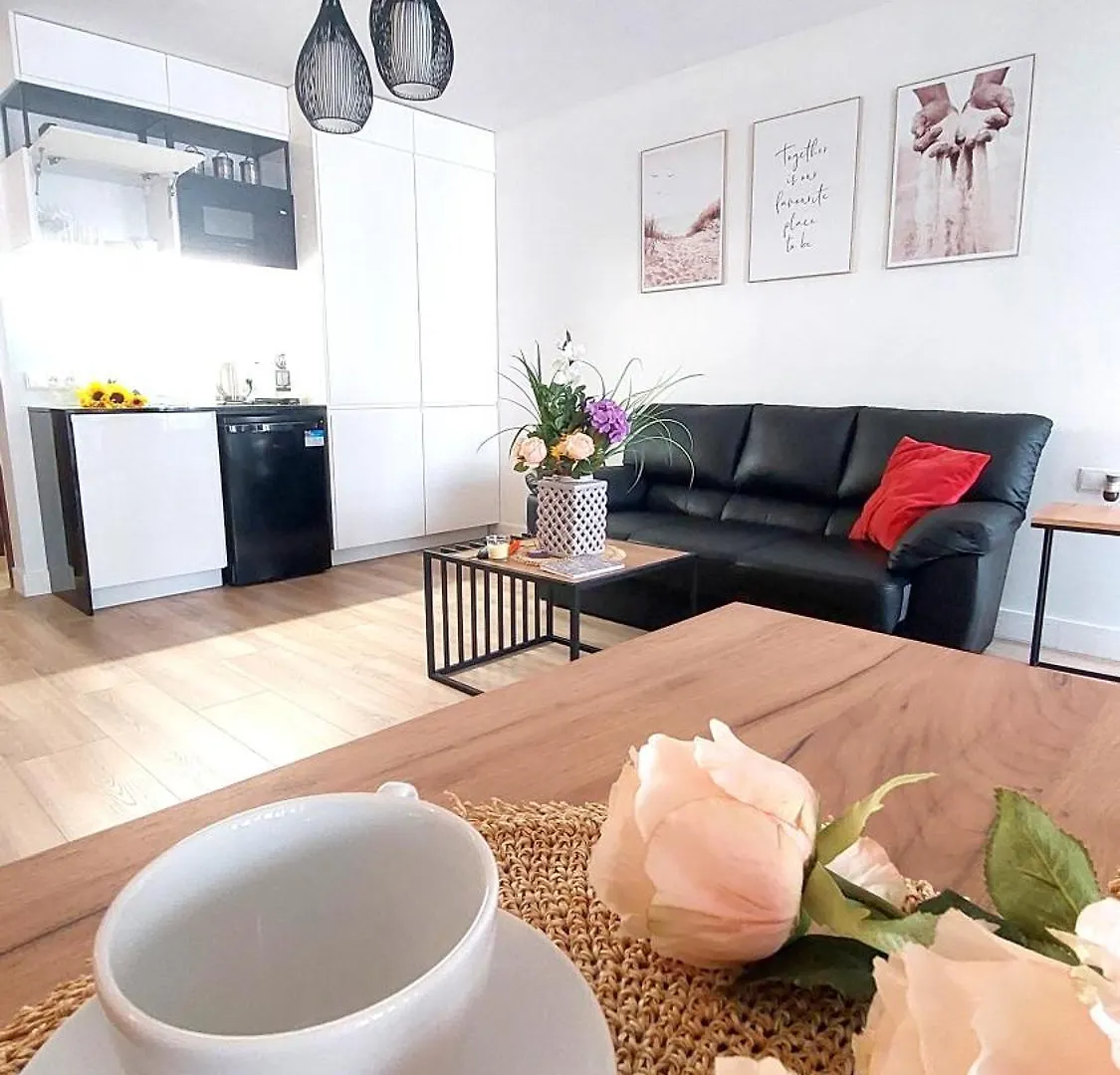 شقة 114 Przy Plazy W Royal Tulip Sand Natalia Dobruk Apartamenty كولوبرزيغ